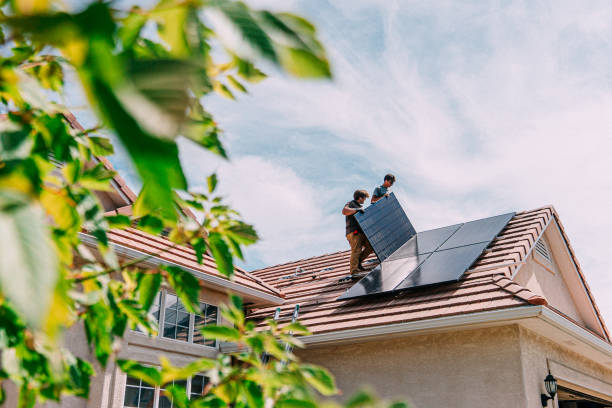 Best Roof Insulation Installation  in Benson, MN