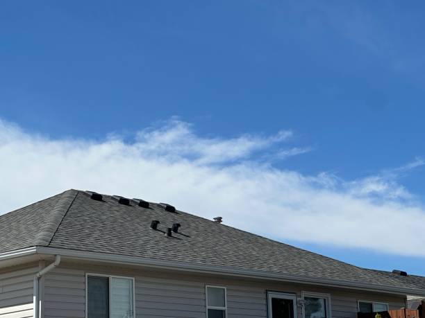 Best Steel Roofing  in Benson, MN